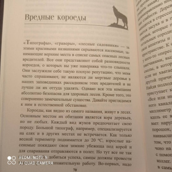 Петер Воллебен: Тайные связи в природе