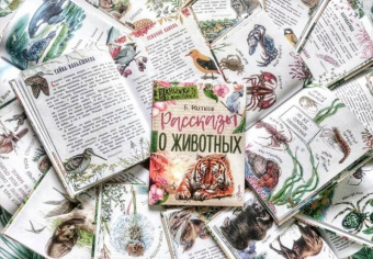 Николай Сладков: Лесные сказки