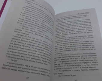 Спенсер Куинн: Где собака зарыта