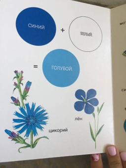 Елена Ивановская: Моя первая книжка о цвете