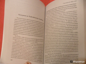Одри Ниффенеггер: Соразмерный образ мой
