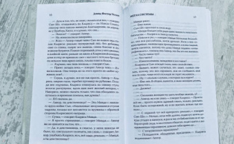 Дэвид Уоллес: Метла системы