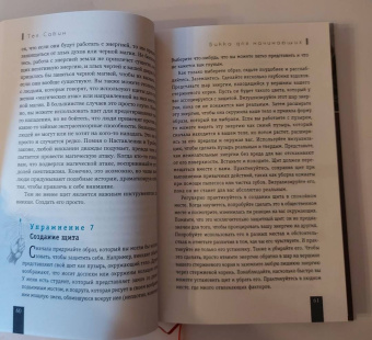 Тея Сабин: Викка для начинающих. Основы философии и практики