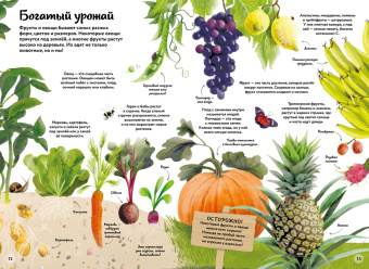 Бедуайер Камилла де ла: Большая книга о природе в картинках