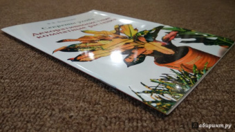 Валентин Воронцов: Секреты ухода. Декоративнолистные комнатные растений