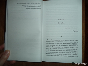 Эльчин Сафарли: Мне тебя обещали