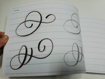 Анна Суворова: Каллиграфия кистью. Прописи. Латиница