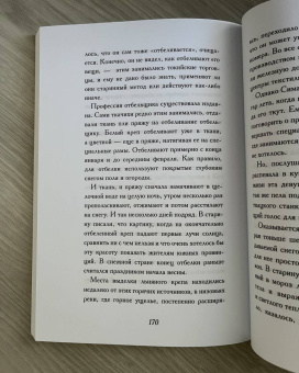 Ясунари Кавабата: Снежная страна