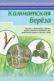 Камчатская береза