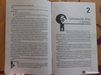 Юрий Седов: Чтобы куры неслись круглый год