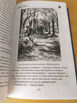 Жюль Верн: Вторая родина