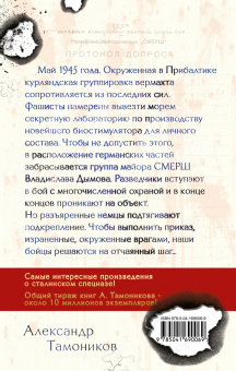 Александр Тамоников: Зловещий лабиринт