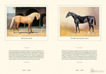 И. Афанасьева: Лошади