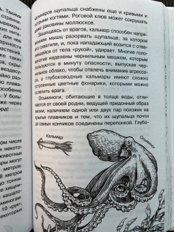Борис Сергеев: Тайны океана