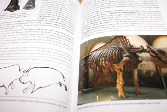 Андрей Шпанский: О мамонтах и их спутниках. Палеоэкология мамонтовой фауны