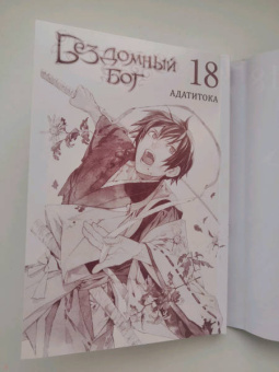 Адатитока: Бездомный бог. Том 18