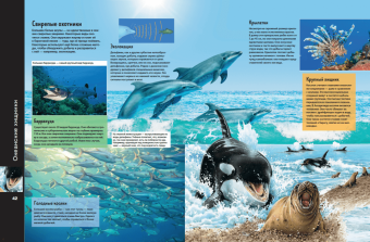 Анна МакРей: Океаны и моря. Виртуальная реальность