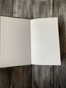 Марина Голубицкая: Два писателя, или Ключи от чердака