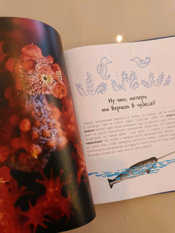 Мак Гагельдонк: Посмотри, как я могу! Чудеса животного мира