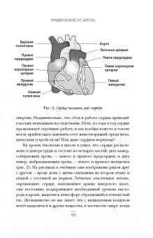Стивен Уэстаби: Хрупкие жизни. Истории кардиохирурга о профессии, где нет места сомнениям и страху