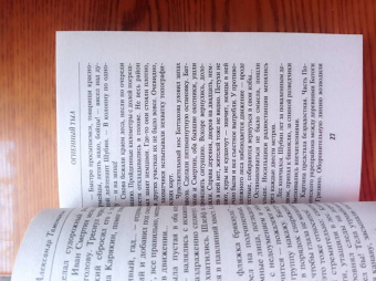 Александр Тамоников: Огненный тыл