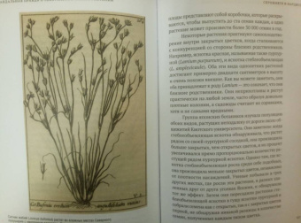 Майкл Аллаби: Скандальная правда о сексуальной жизни растений