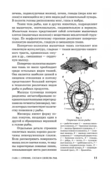 Сафронова, Дацун, Максимова: Сырье и материалы рыбной промышленности. Учебник. СПО