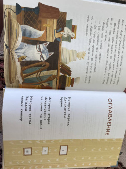 Ольга Сафронова: Любопытная Швабра