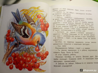 Николай Сладков: Сказки лесной опушки