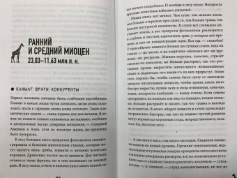 Станислав Дробышевский: Почему жирафы не стали людьми и другие вопросы эволюции