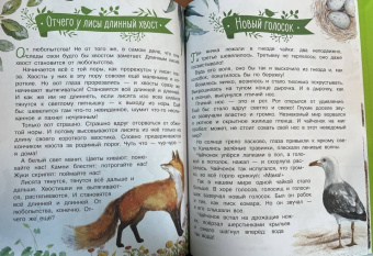 Николай Сладков: Лесные сказки