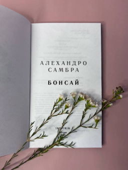 Алехандро Самбра: Бонсай