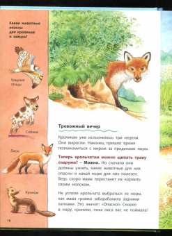 Фридерун Райхенштеттер: Как живут кролики и зайцы. Познавательные истории