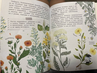 Анастасия Мещерякова: Почему мы болеем?