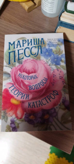 Мариша Пессл: Некоторые вопросы теории катастроф