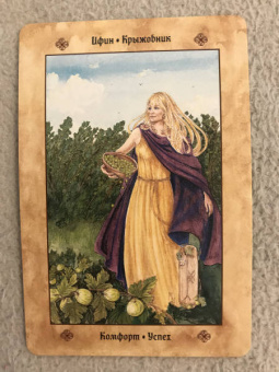 Микки Мюллер: Голоса деревьев. Кельтский оракул (25 карт)