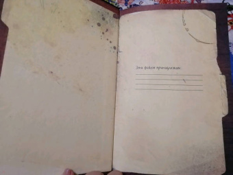 Файлы Фредди. Официальный путеводитель по лучшей хоррор-игре