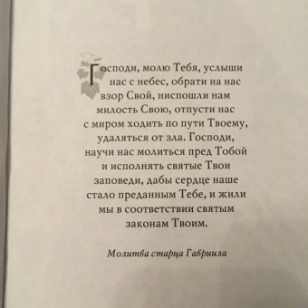 Евфимия Монахиня: Диадема старца Гавриила. Преподобный Гавриил (Ургебадзе), исповедник и Христа ради юродивый