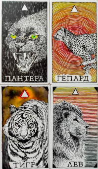 Ким Кранс: The Wild Unknown Animal Spirit. Дикое Неизвестное тотемное животное. Колода-оракул (63 карты и рук.)