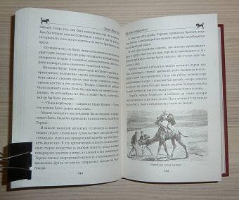 Рид Майн: Пиратский остров. Молодые невольники