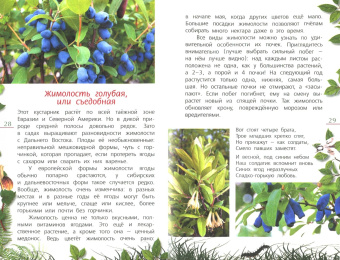 Петр Волцит: Ягоды и грибы