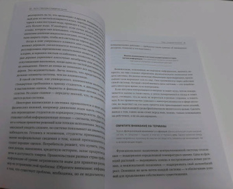 Донелла Медоуз: Азбука системного мышления