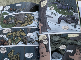 Билл Уиллингхэм: Сказки. Книга 7