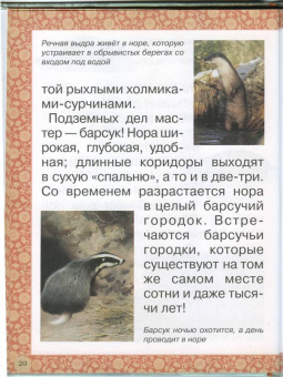 Инна Гамазкова: Гнезда, норки, домики