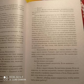 Ю Несбё: Полиция