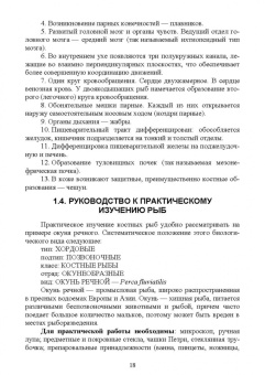 Гизатуллина, Макарова, Чернышова: Позвоночные животные. Учебное пособие