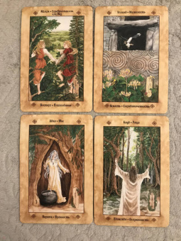 Асала, Идальго, Мюллер: Кельтские ритуалы + Кельтская народная кухня + Голоса деревьв. Комплект (6425)