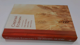 Сергей Есенин: Не жалею, не зову, не плачу