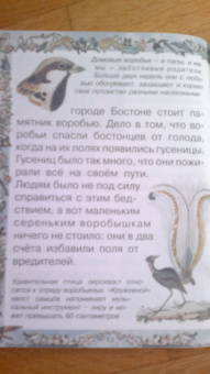 Валерий Роньшин: Птичьи секреты