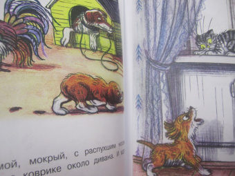 Пермяк, Маршак, Сутеев: Чудо-сказки